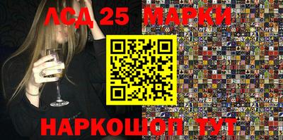 индика Ирбит