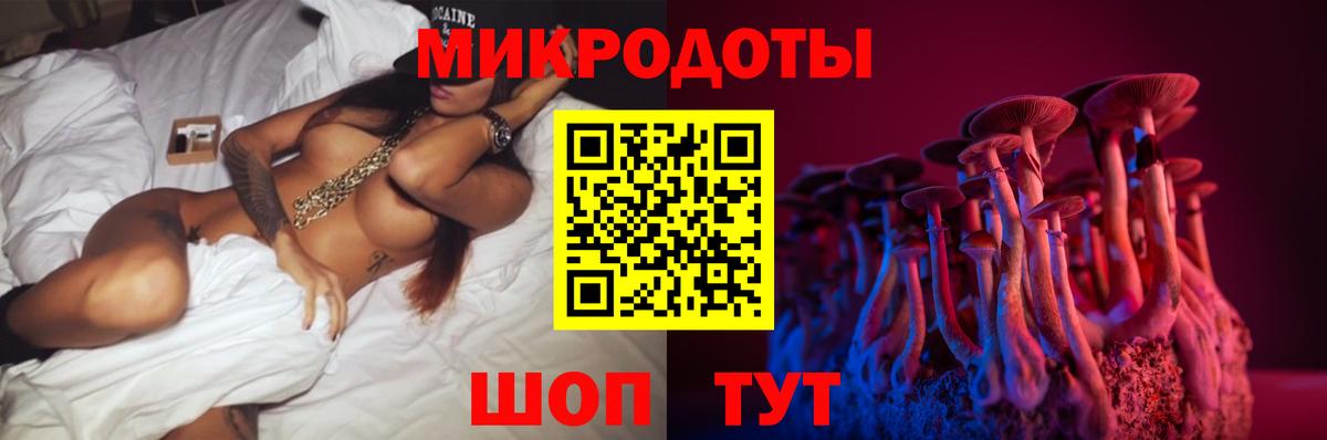 Псилоцибиновые грибы мицелий Куйбышев